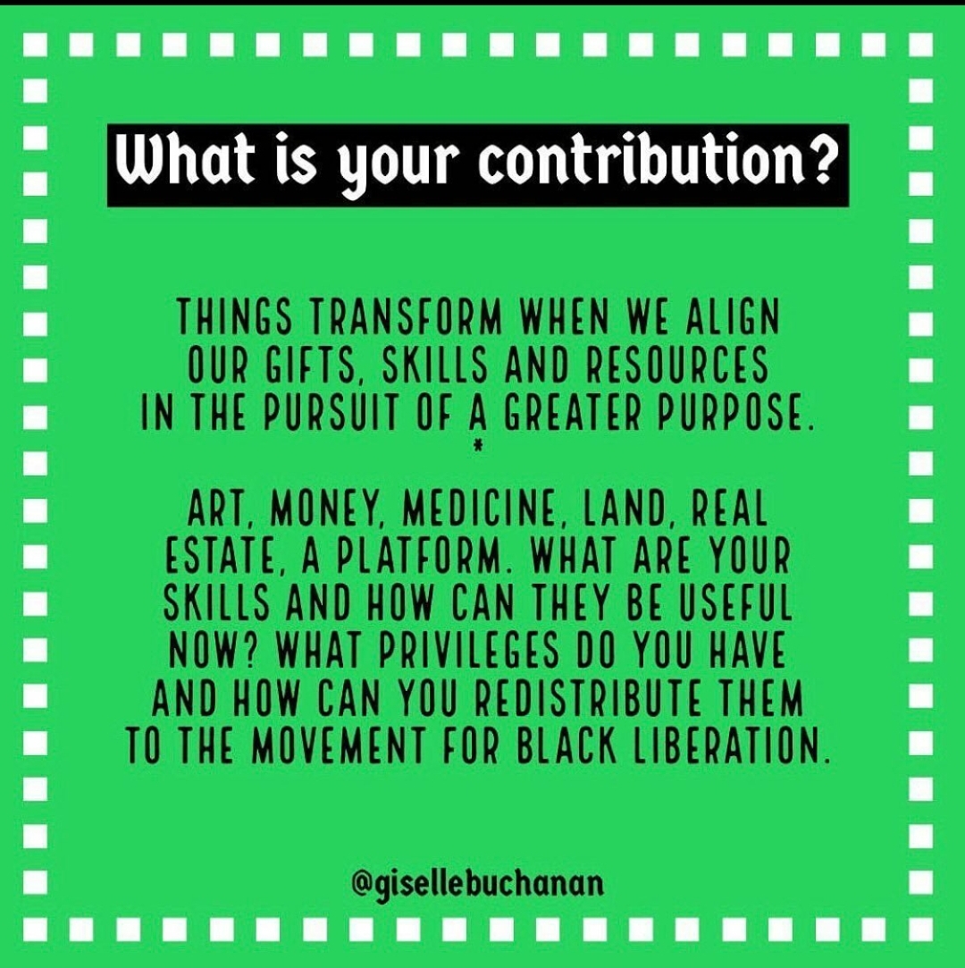 What is Your Contribution